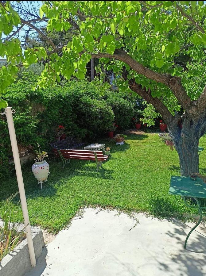 Finikas Rooms Agia Marina (Aegina) Exterior foto