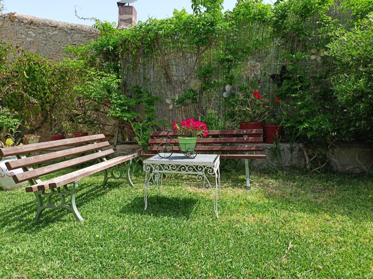 Finikas Rooms Agia Marina (Aegina) Exterior foto