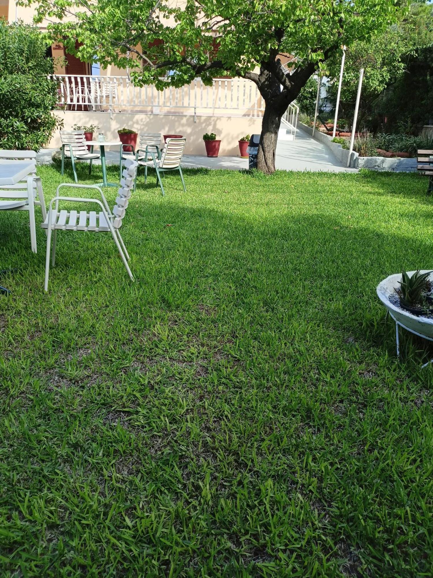 Finikas Rooms Agia Marina (Aegina) Exterior foto